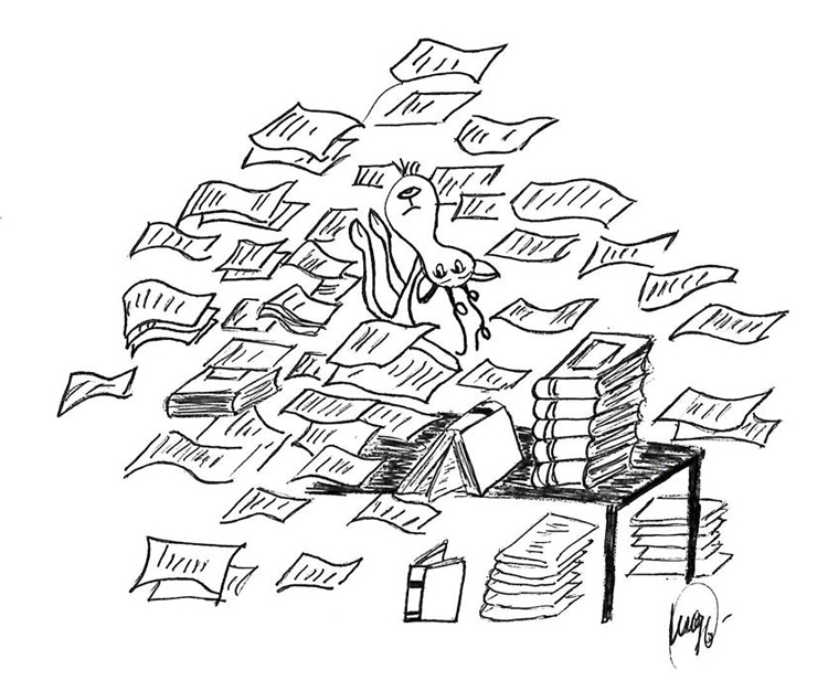 attente homeo GRAINE PAPIERS